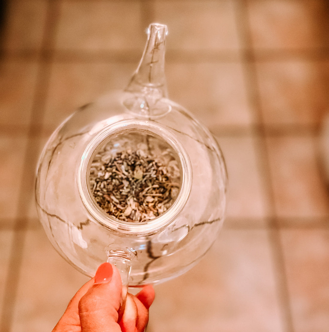 Adaptogens 101: What They Are and How to Use Them