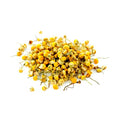 A small pile of dried yellow chamomile flowers with green stems on a plain white background.