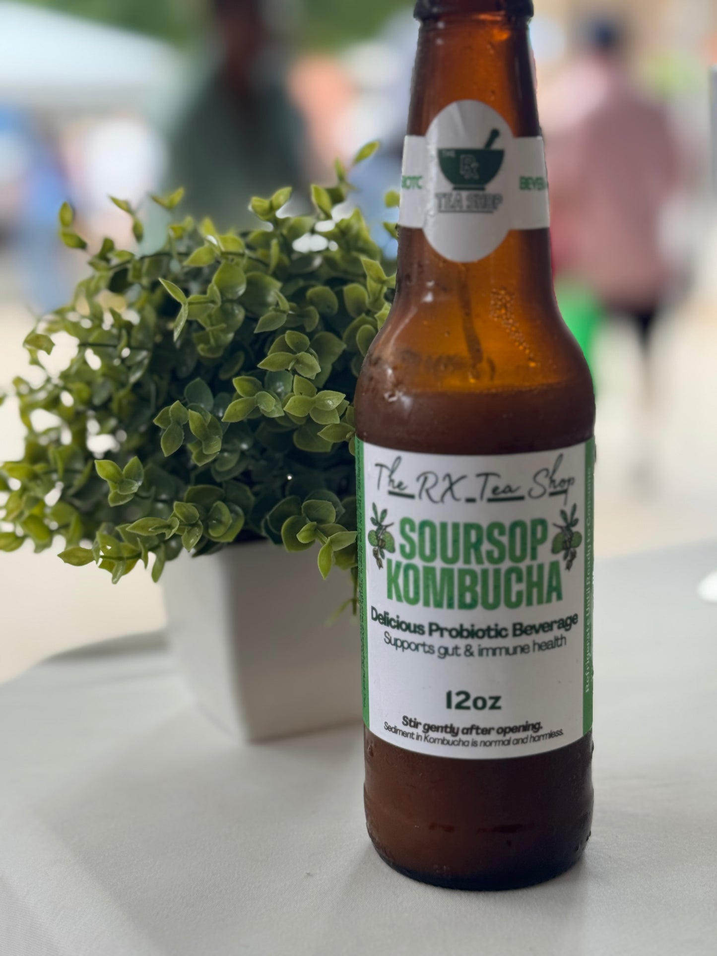 Kombucha Brewing Workshop March 19 | 1-Hour Hands-On Class | Limited to 20 Guests