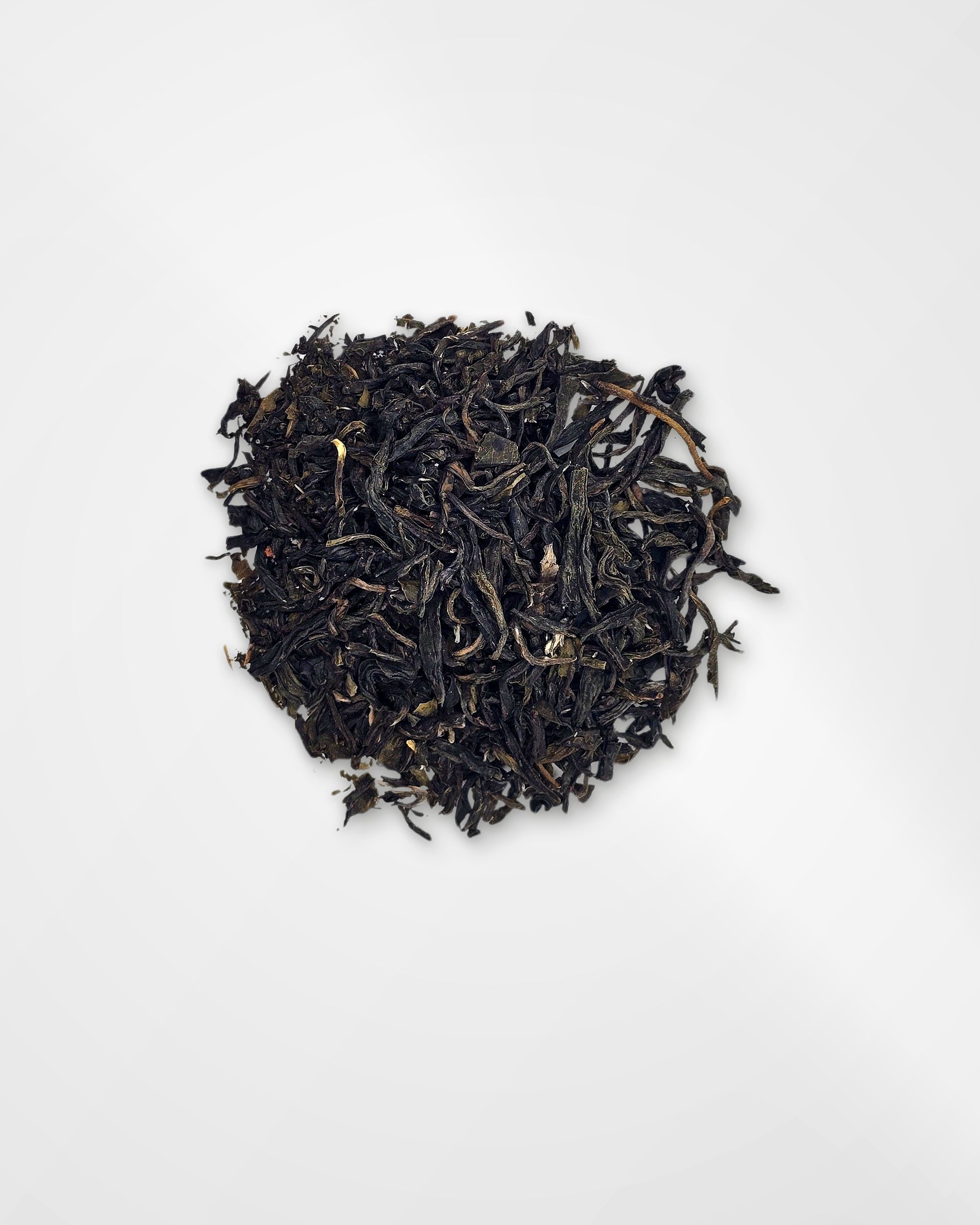 Midnight Jasmine